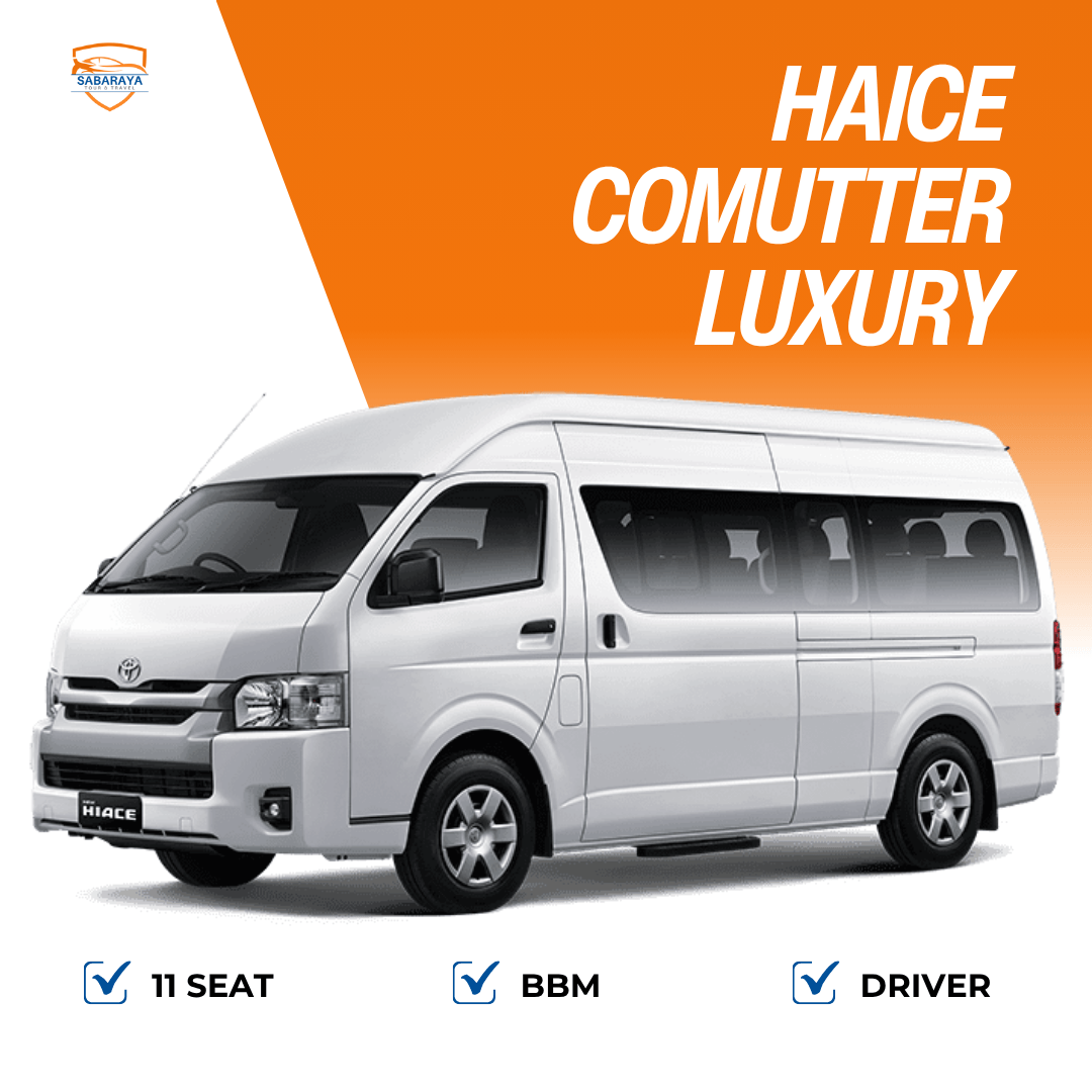 Haice Comutter Luxury