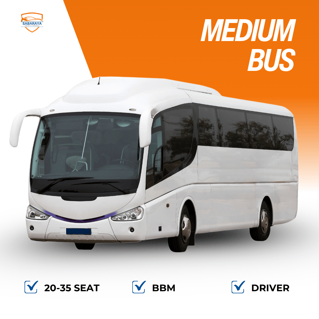 Medium Bus